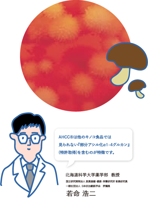 AHCC®は他のキノコ食品では見られない『部分アシル化α1-4グルカン』(特許取得)を含むのが特徴です。北海道科学大学薬学部 准教授 国立研究開発法人 医薬基盤・健康・栄養研究所 客員研究員 一般社団法人 日本抗加齢医学会 評議員 若命 浩二