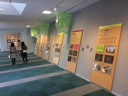 Ahccをもっと知りたい アミノアップ社へ 即日出荷 Ahccアルファサプリ公式通販ショップ 活里