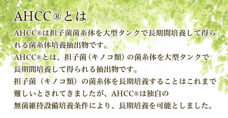 【大特価】アッカ　acca【10個まとめ売り】 大特価】アッカ acca【10個まとめ売り】